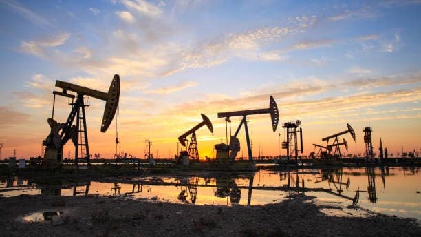 Oil importance